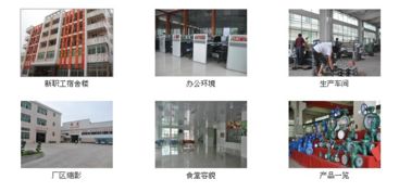 公司介绍 上海标光阀门厂